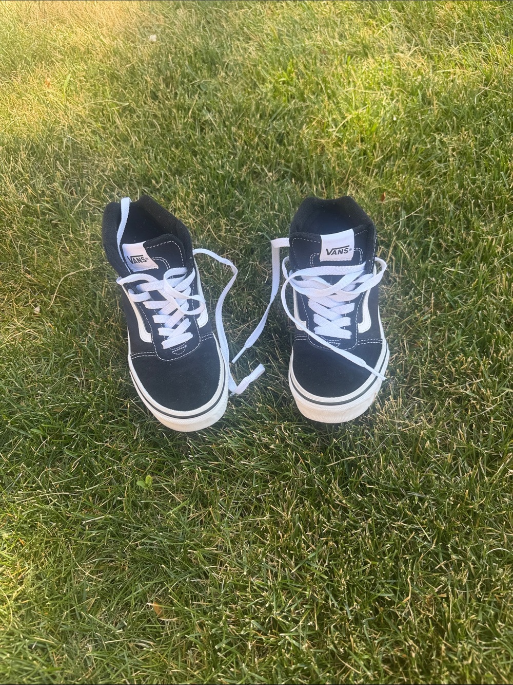 Vans Black & White High-Top Skate Sneakers
